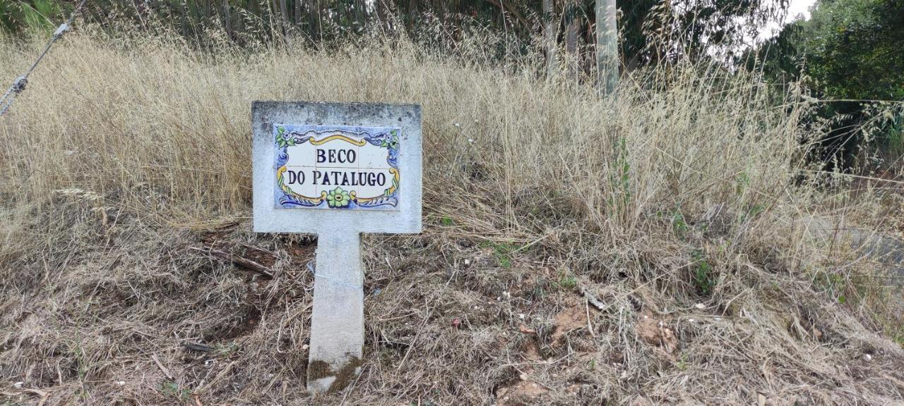 Beco Do Patalugo Daire Salir de Matos Dış mekan fotoğraf